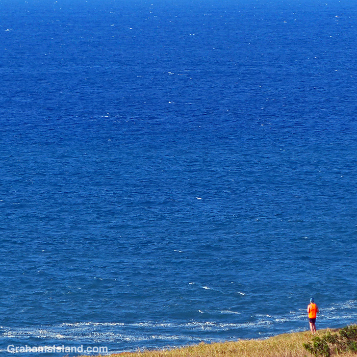 A man in a bright orange shirt looks out from the Kohala coast