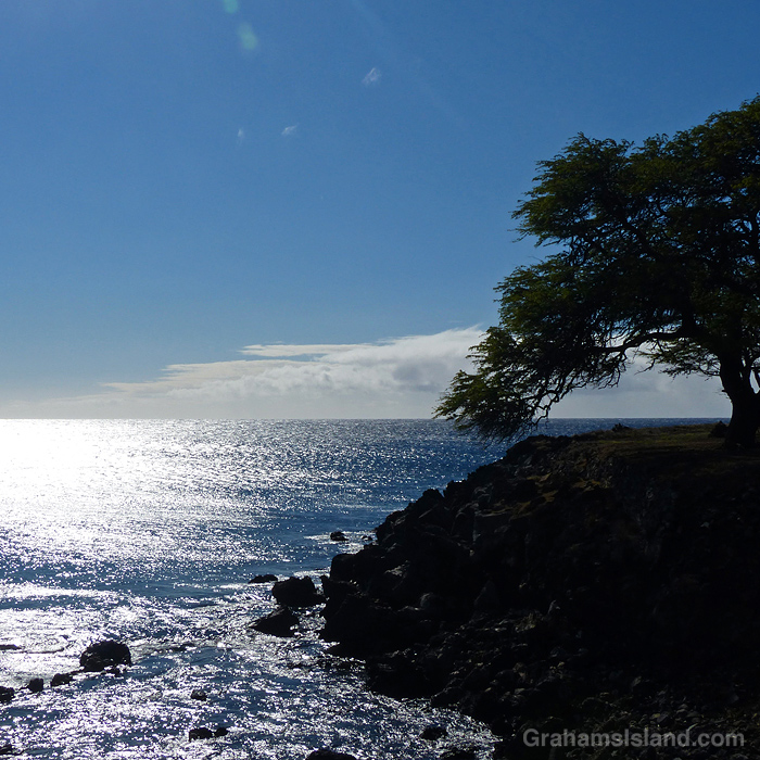 The sun shines on the Kohala coast