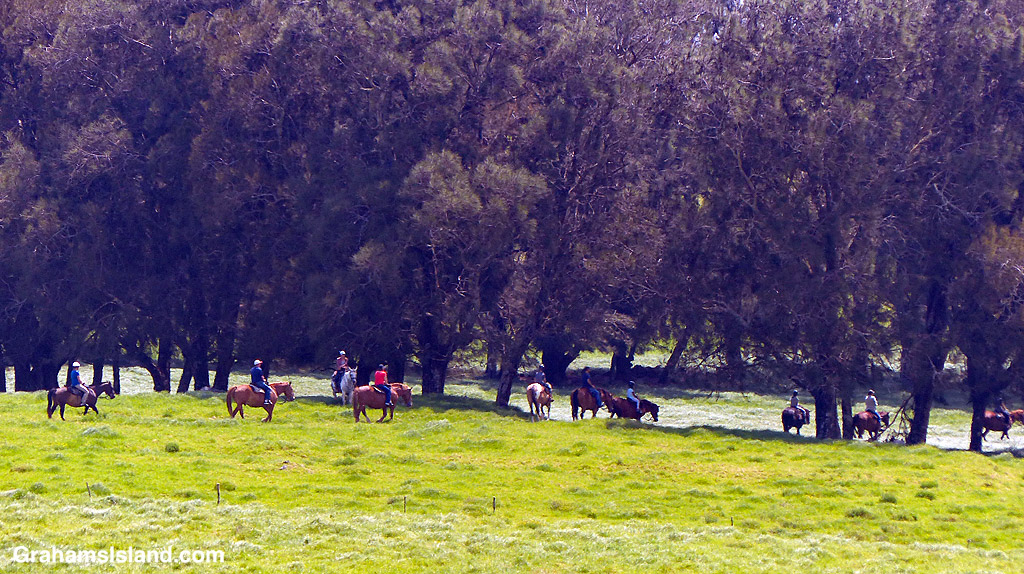 Horse riders cross a pasture
