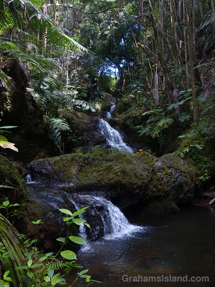 Onomea Falls at Hawaii Tropical Bioreserve and Garden