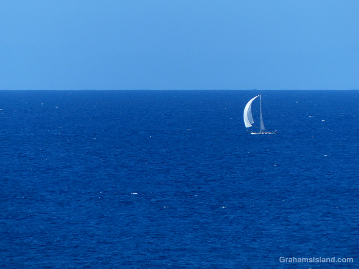 A sailboat off the coast of Hawaii