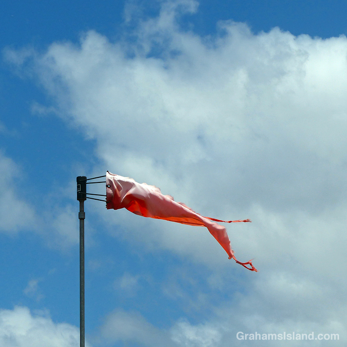 A battered windsock in Hawaii