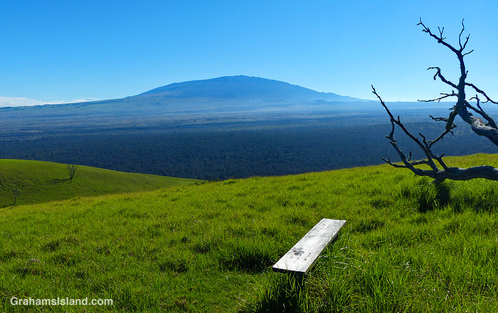 View of Mauna Kea from Pu'u Wa'awa'a bench