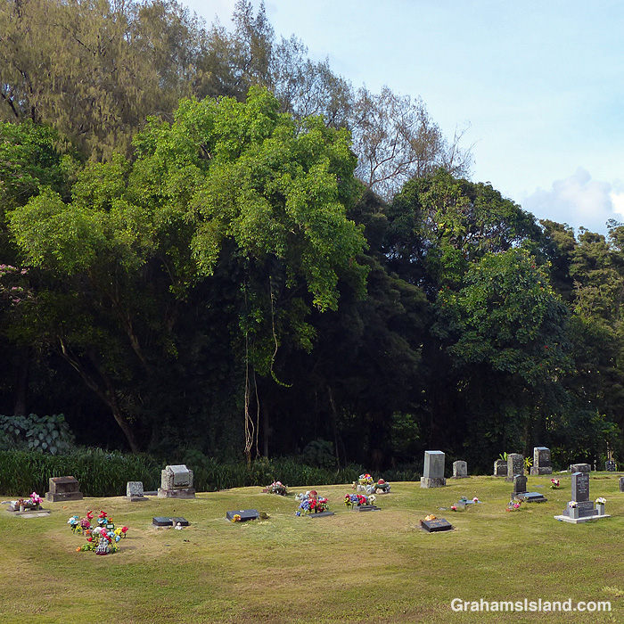 A view of Waianaia Cemetery near Kapaau, Hawaii