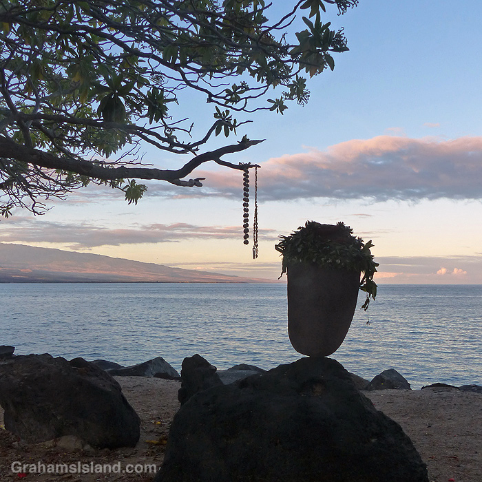 A garlanded rock at Kawaihae, Hawaii