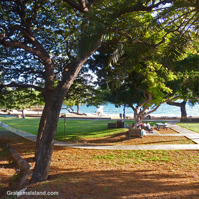 A barbecue at Spencer Beach Park, Hawaii
