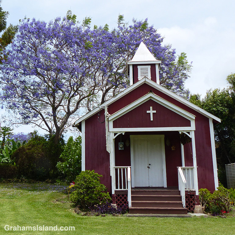 Pu'uanahulu Baptist Church seen against a backdrop of a blooming jacaranda tree