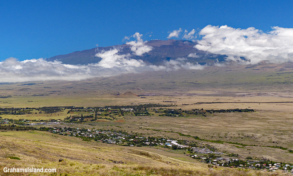 A view of Mauna Kea from Kohala Mountain Road.
