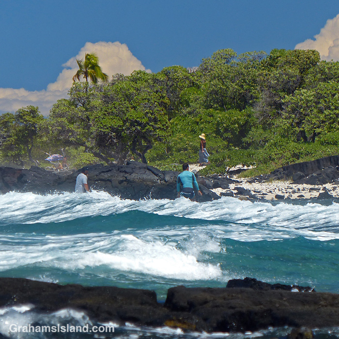 Surfers returning to shore at Pine Trees in Hawaii
