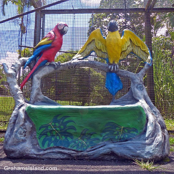 A bench at Pana’ewa Rainforest Zoo and Gardens in Hilo, Hawaii