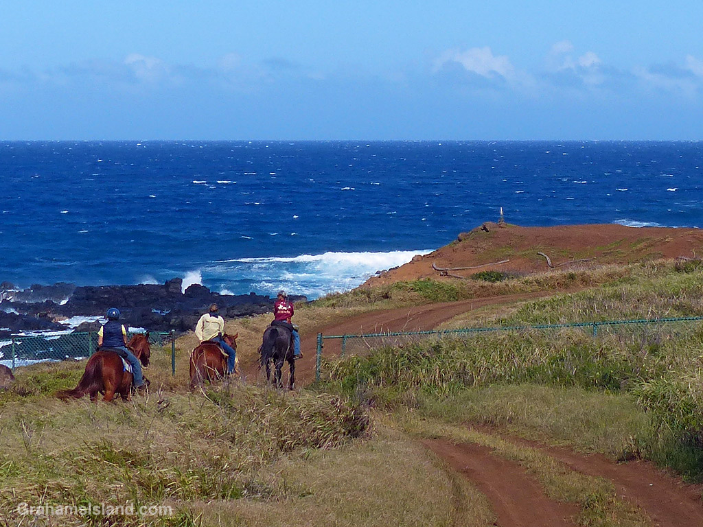 Horse riders travel along the coast near Upolu Hawaii