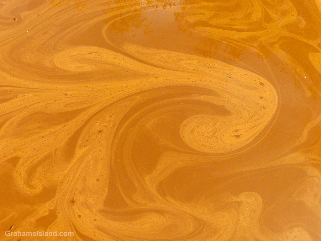 Psychedelic swirls in a mud puddle