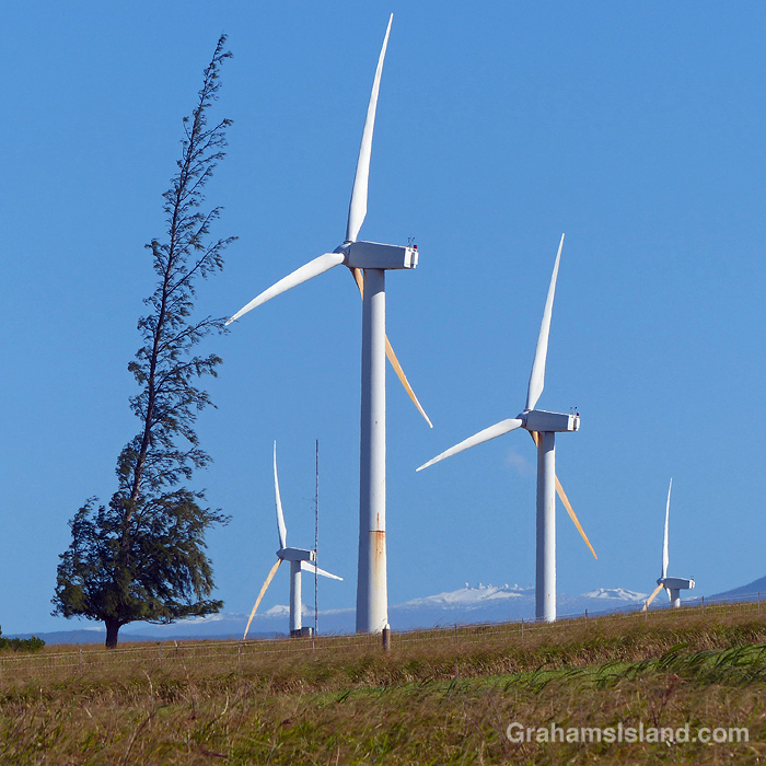 The turbines of Hawi wind farm with Mauna Kea in the background