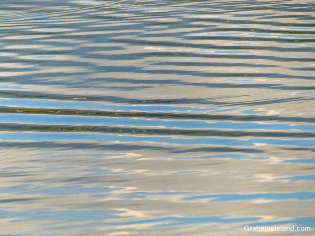 ripples on a pond