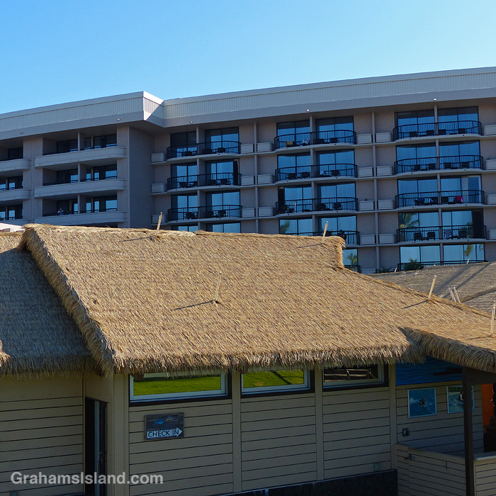 Grass roofed bildings at the HIlton Waikoloa, Hawaii