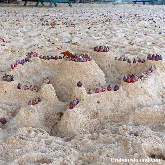 The fruits of a False Kamani Tree decorate a sandcastle at Spencer Beach Park in Hawaii