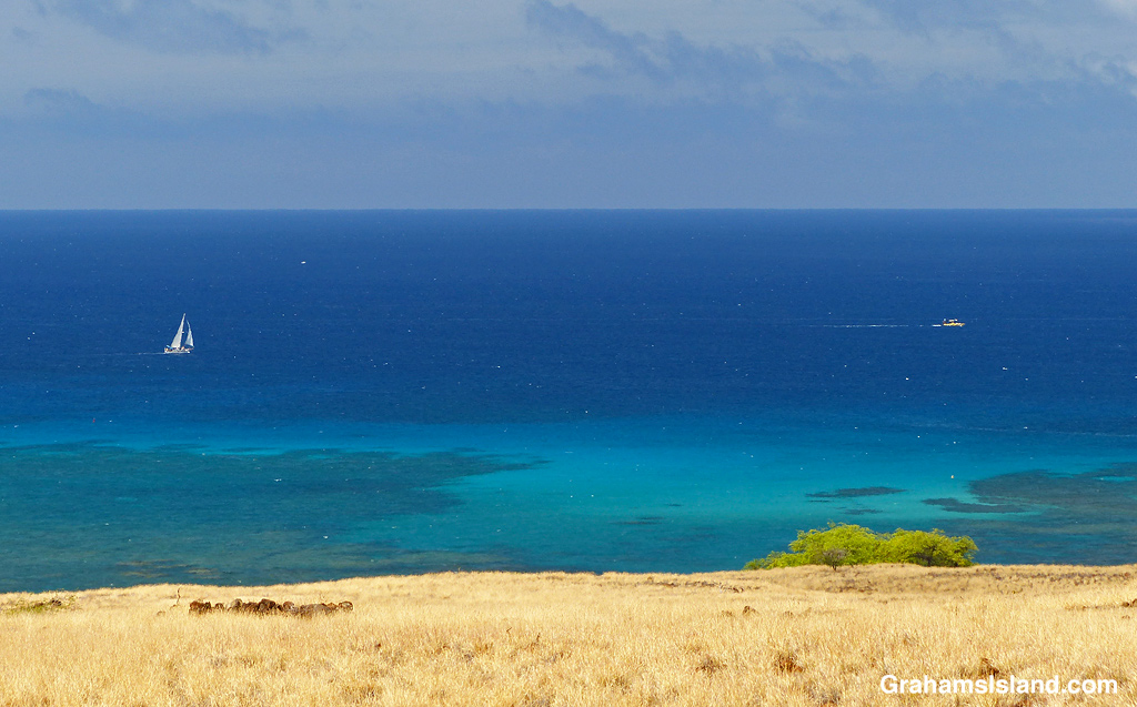 Boats on blue water in Hawaii