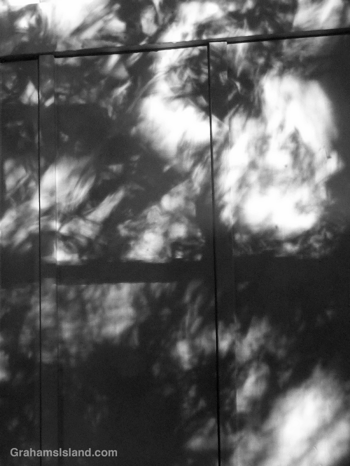 Shadows on a wall in black and white