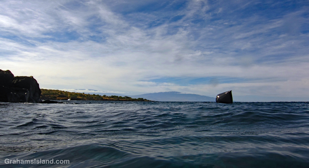 An inflated bag, used as a fishing float, on the waters off Hawaii