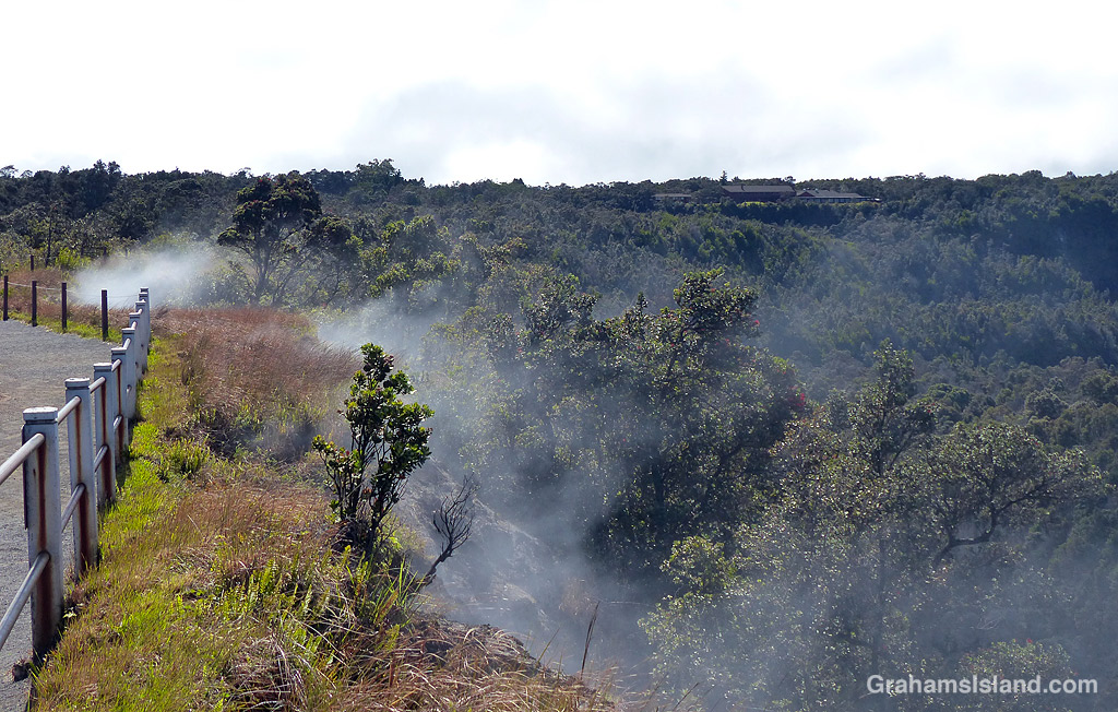 Steam rises alongside the Steam Vents trail in Hawaii Volcanoes National Park