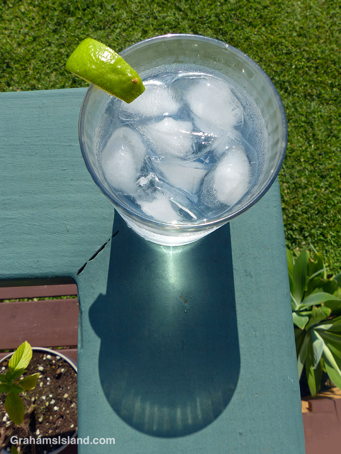 A glass of gin and tonic