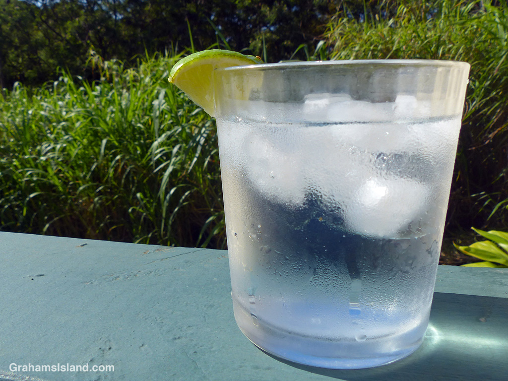 A glass of gin and tonic