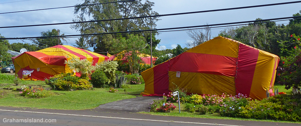 Houses in Hawaii being tented for termites