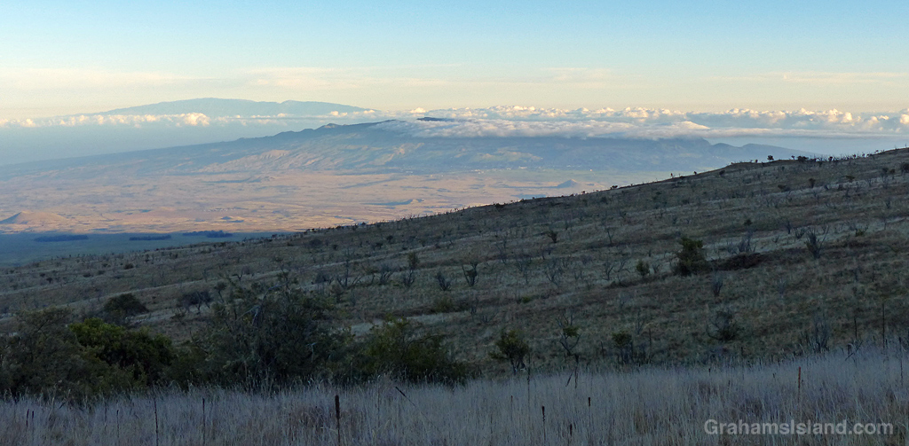 A view of Kohala Mountain and Maui from the Palila reserve on the slopes of Mauna Kea