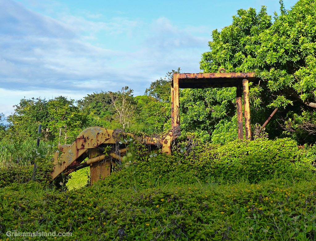 An old backhoe is covered by weeds