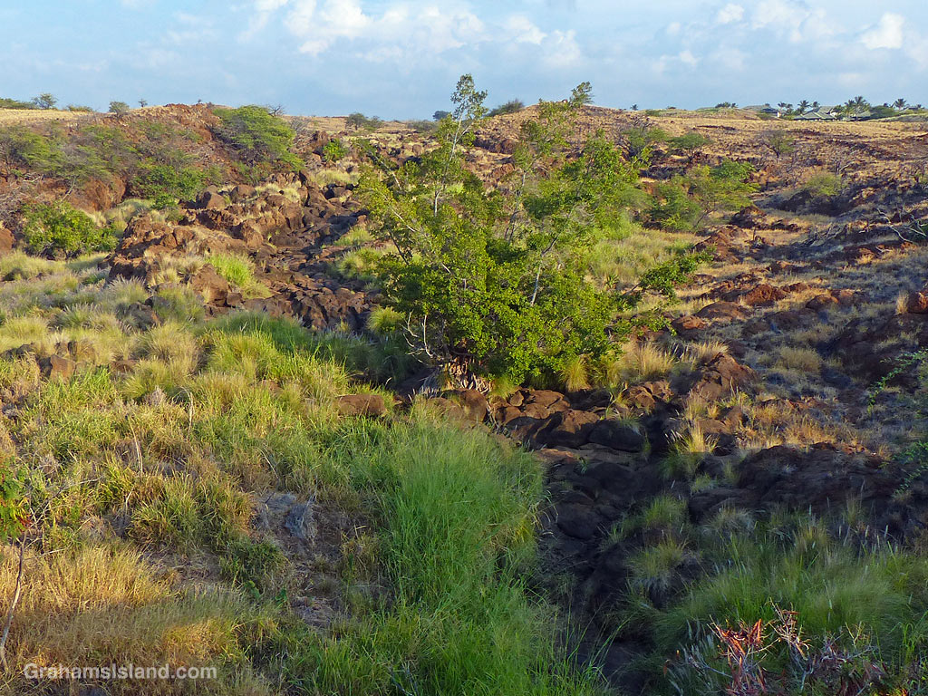 Keanuiomano Stream on the Big Island, Hawaii, running dry