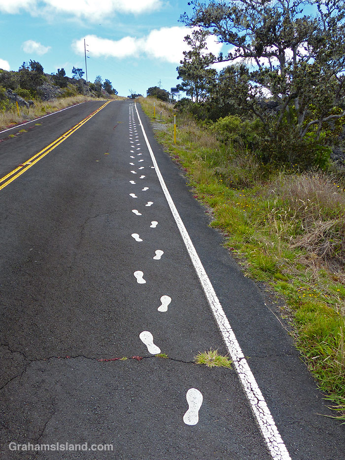 Footsteps mark the way at Kaulana Manu Nature Trail in Hawaii