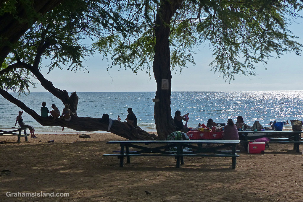 People relaxing at Spencer Beach Park in Hawaii