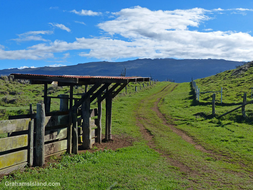 Tamaki Corral on PuuWaaWaa, Hawaii