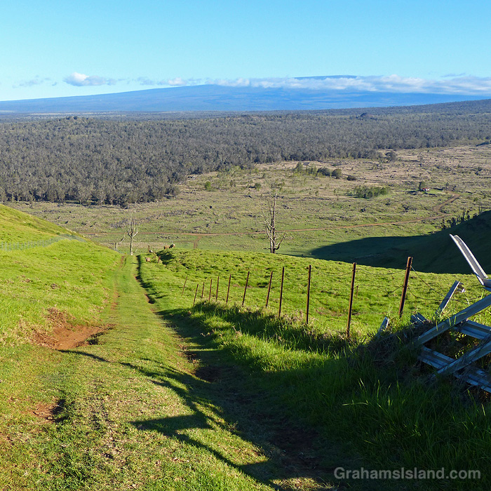 The trail down from PuuWaaWaa, Hawaii