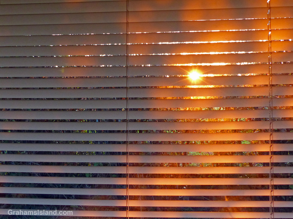 Early morning sun shines through window blinds