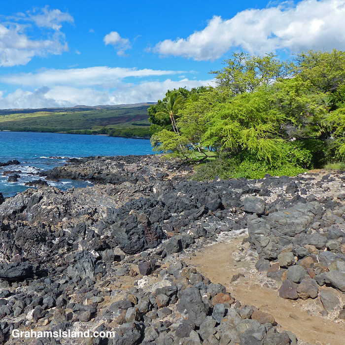 On the Ala Kahakai Trail between Spencer Beach Park and Hapuna