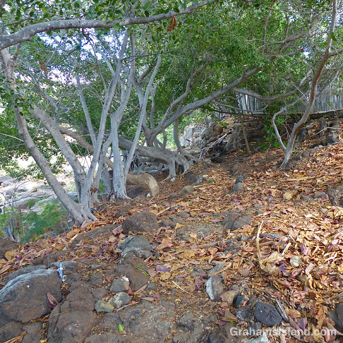 On the Ala Kahakai Trail between Spencer Beach Park and Hapuna