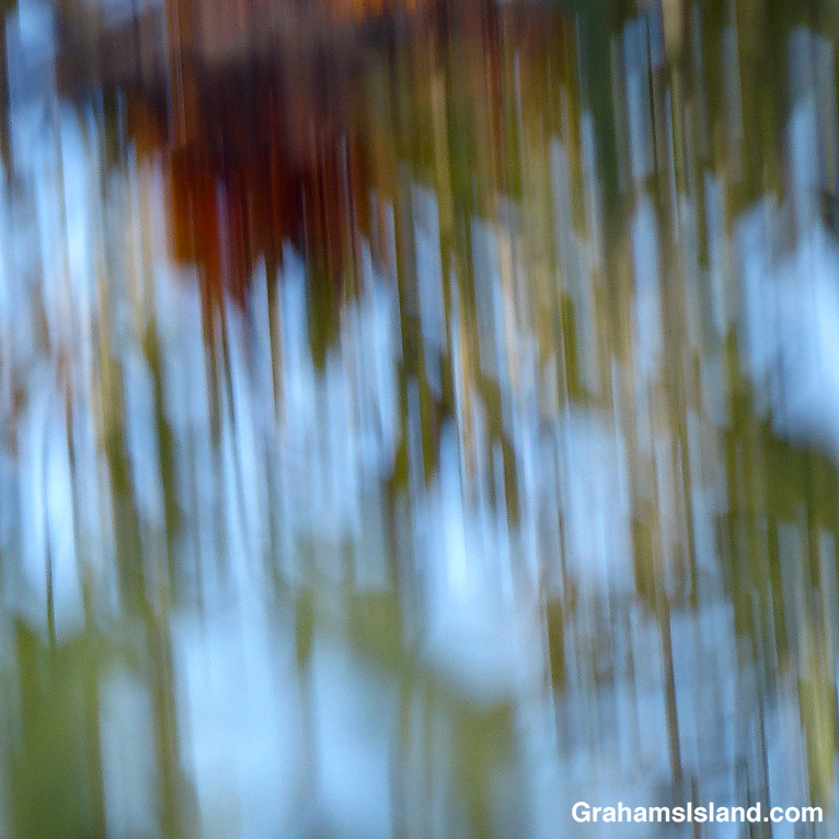 A blurred image of trees and sky