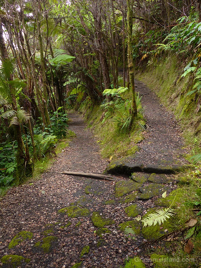 A switchback on the Kilauea Iki Trail in Hawaii Volcanoes National Park