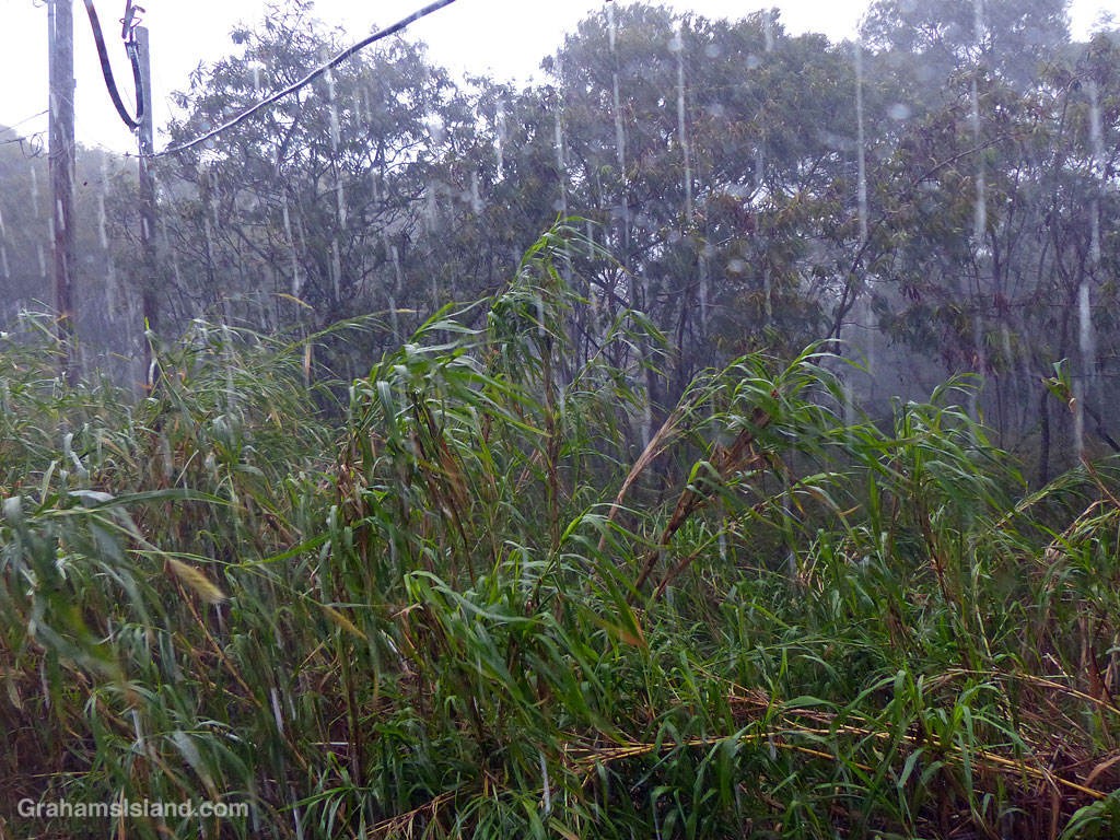 Heavy rain in Hawaii