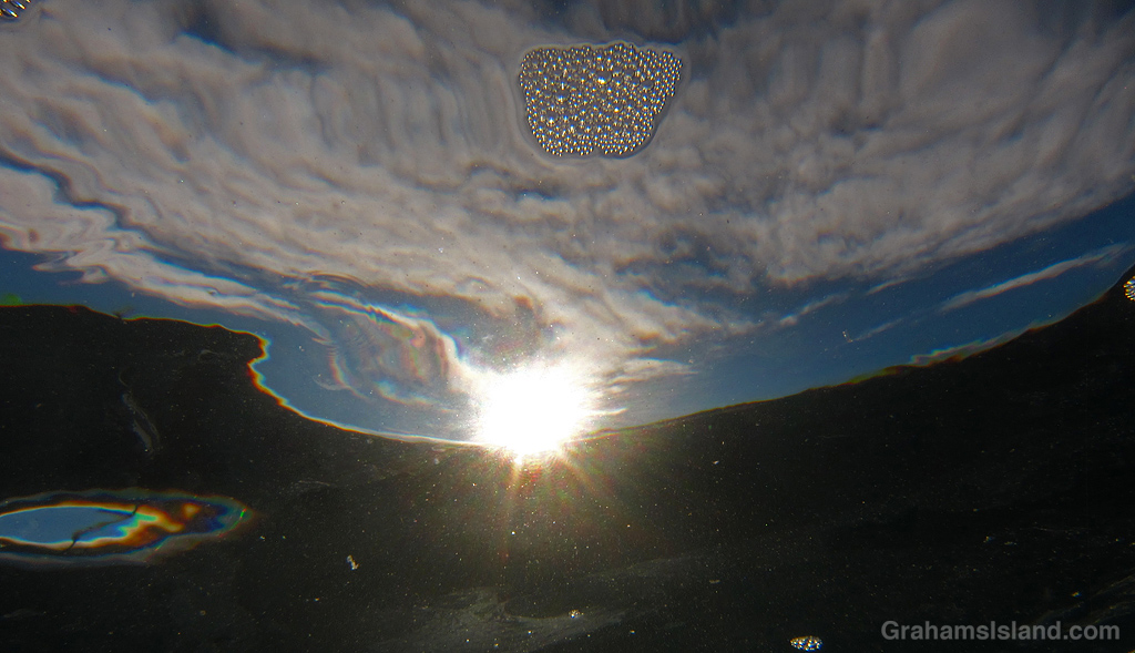 A view of the sun from underwater