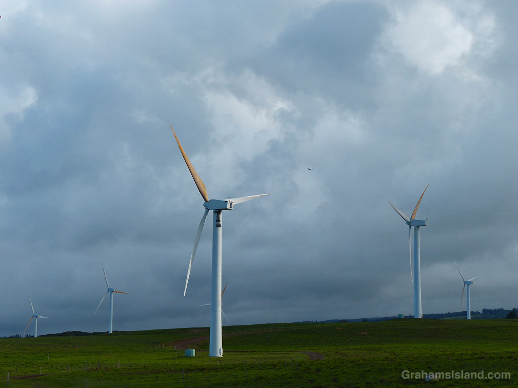 Wind turbines under gray skies in Hawaii