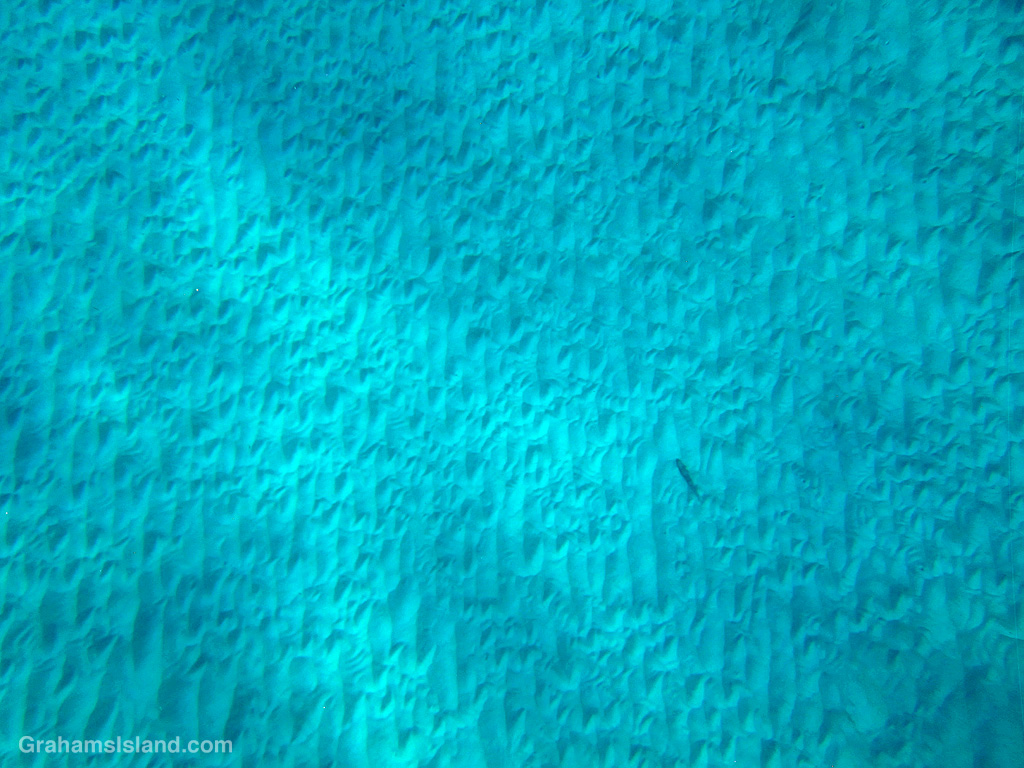 Patterns in the sand off the coast of Hawaii