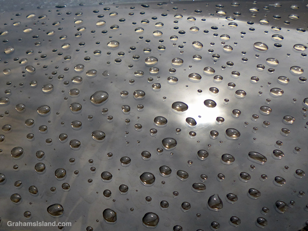 Raindrops bead up on a curved windshield