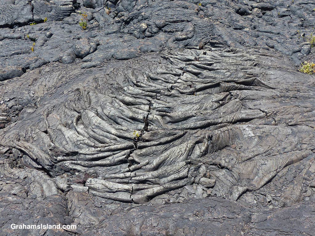 Folded lava on the Ka'u Desert Trail, Hawaii