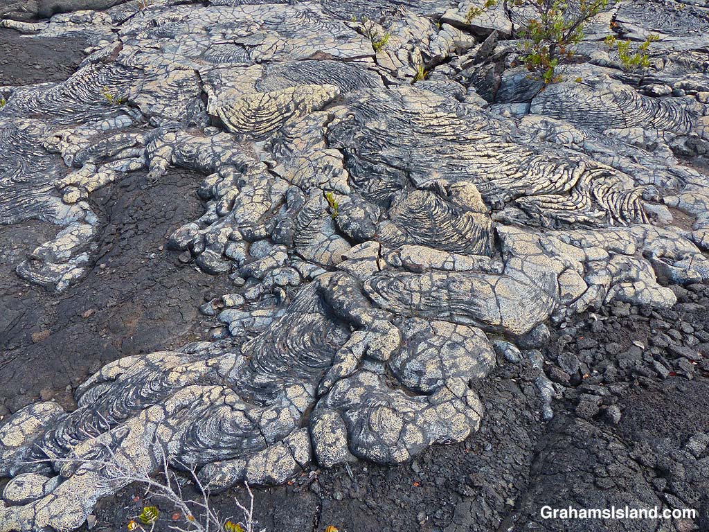 Colored lava on the Ka'u Desert Trail, Hawaii