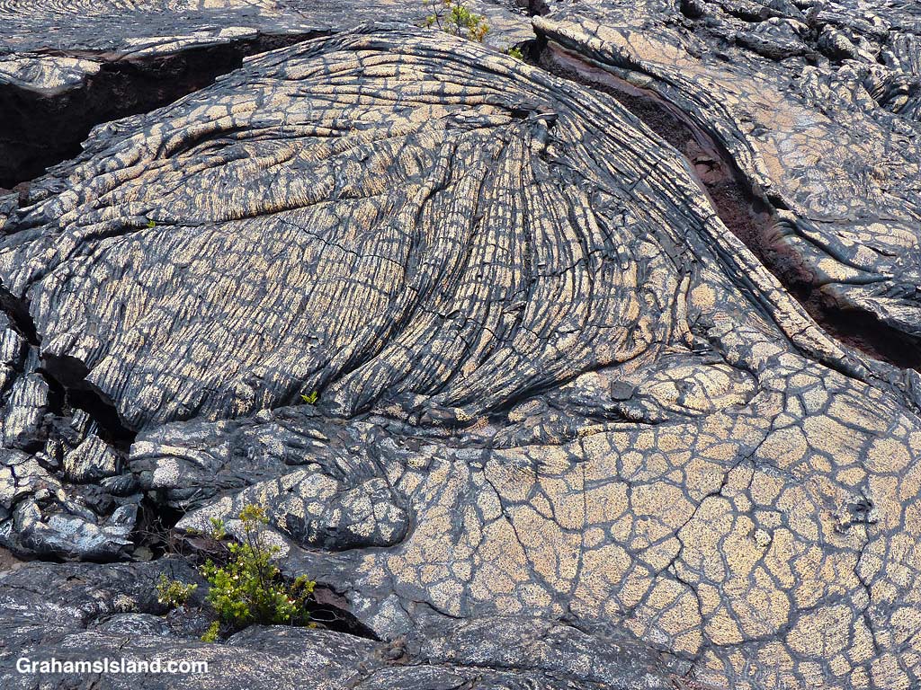 Colored lava on the Ka'u Desert Trail, Hawaii