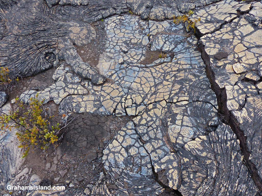 Colored lava on the Ka'u Desert Trail, Hawaii