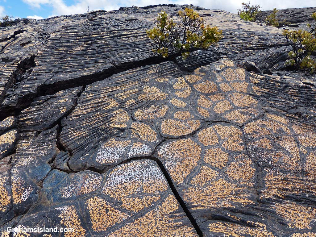 Colored lava on the Ka'u Desert Trail, Hawaii