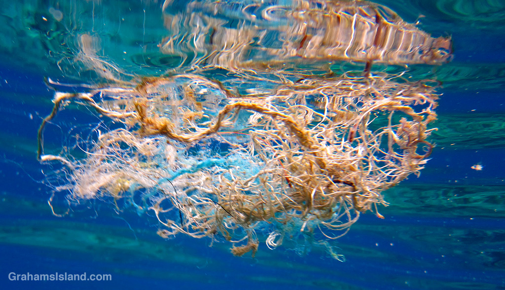 Some floating debris in the waters off Hawaii